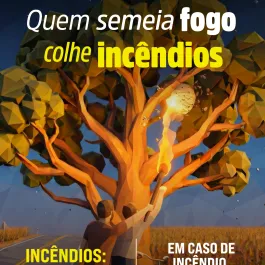 INCÊNDIOS: PREVINA!