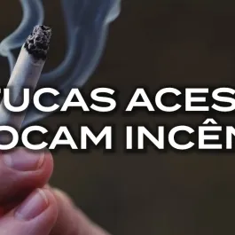 INCÊNDIOS: PREVINA!