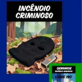 INCÊNDIOS: PREVINA!