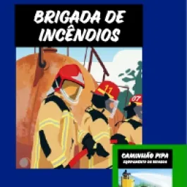 INCÊNDIOS: PREVINA!