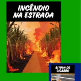 INCÊNDIOS: PREVINA!