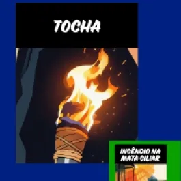 INCÊNDIOS: PREVINA!