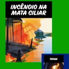 INCÊNDIOS: PREVINA!