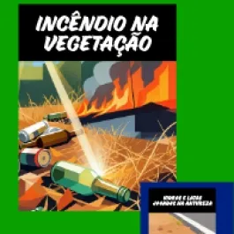 INCÊNDIOS: PREVINA!