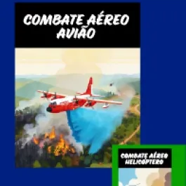 INCÊNDIOS: PREVINA!