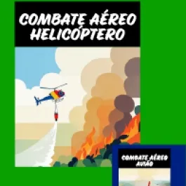 INCÊNDIOS: PREVINA!