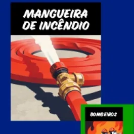 INCÊNDIOS: PREVINA!
