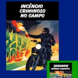 INCÊNDIOS: PREVINA!