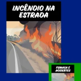 INCÊNDIOS: PREVINA!