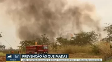 Ação conjunta deve ajudar a diminuir focos de incêndio em rodovias da região de Ribeirão