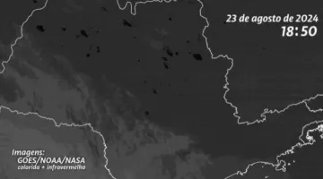 Incêndios em SP começaram em 90 minutos; mais de 80% dos focos ocorreram em áreas de uso agropecuário, aponta Ipam