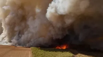 Homem é condenado a 8 anos de prisão por causar incêndios em áreas rurais do interior de SP