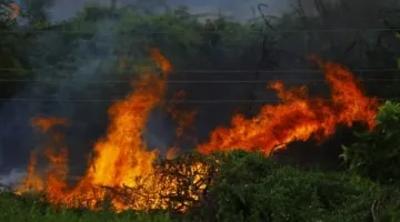 Emissão global de gases por incêndios é a menor em 24 anos