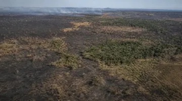 Área queimada no Brasil cai 31% em 2025, aponta MapBiomas